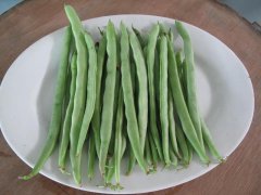 農藥殘留檢測儀，檢測四季豆農藥殘留含量