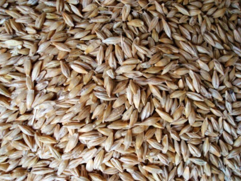糧食重金屬檢測儀，滿足現場檢測需求